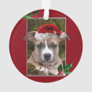 Runde Verzierung WeihnachtenPitbull Welpen Ornament