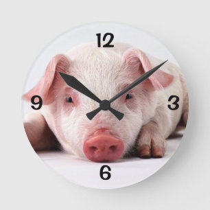 Runde Wall-Uhr/Schwein Wanduhr