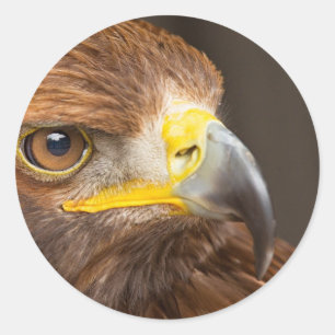 Runder Aufkleber Eagles