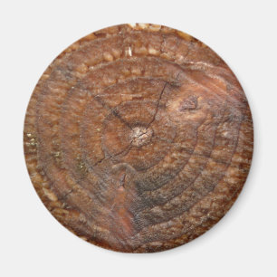 runder Baumringmagnet Magnet