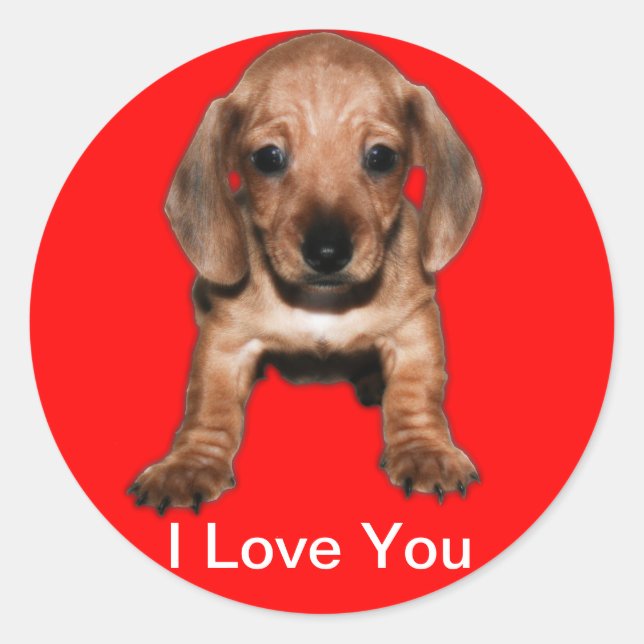 Runder Calcomanía teckel Aufkleber (Vorderseite)