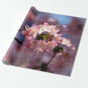 Runder Cluster von Sakura-Blume Geschenkpapier