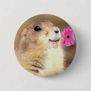 Runder Knopf des Präriehunds Button