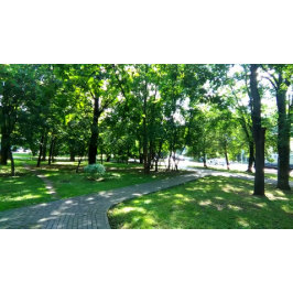 Runder Knopf, riesig, 4 Zoll Button