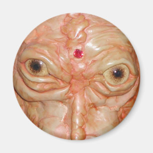 Runder Magnet, "Brown-Dämon-Augen " Magnet