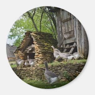 Runder Magnet des traditionellen foie gras