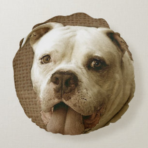 Rundes Kissen der amerikanischen Bulldogge