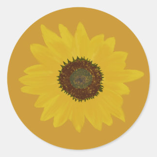 Rundkleber für Sonnenblumen Runder Aufkleber