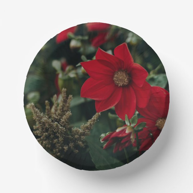 Rundpapier Pappteller (Vorderseite)