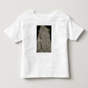 Runic Stein Kleinkind T-shirt