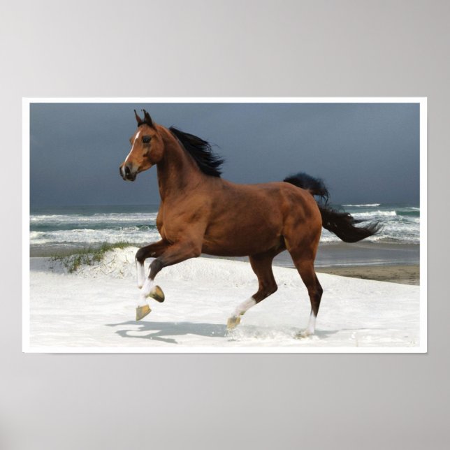 Runing Horse at the Beach Art Print Poster (Devant)