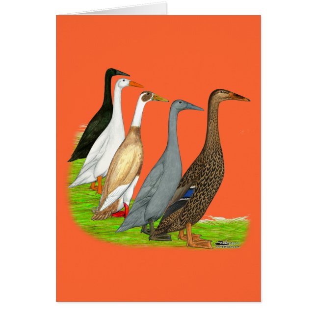 Runner-Duck-Sortiment (Vorne)