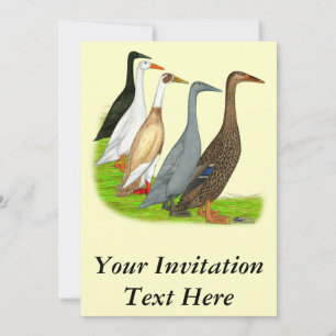 Runner-Duck-Sortiment Einladung