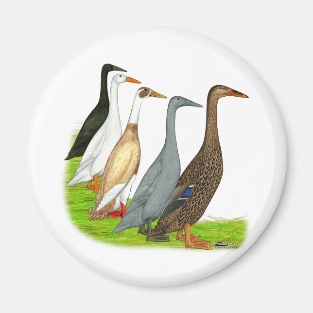 Runner-Duck-Sortiment Magnet (Vorne)