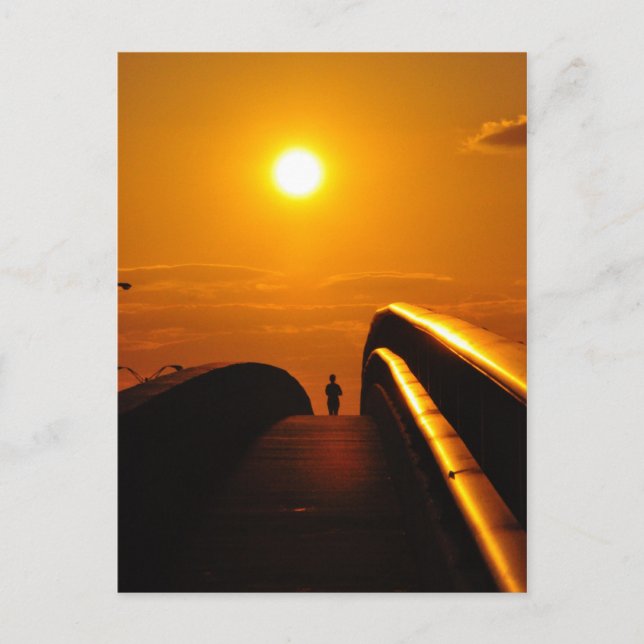 Runner Sunset Delight Bridge Daytona Postkarte (Vorderseite)