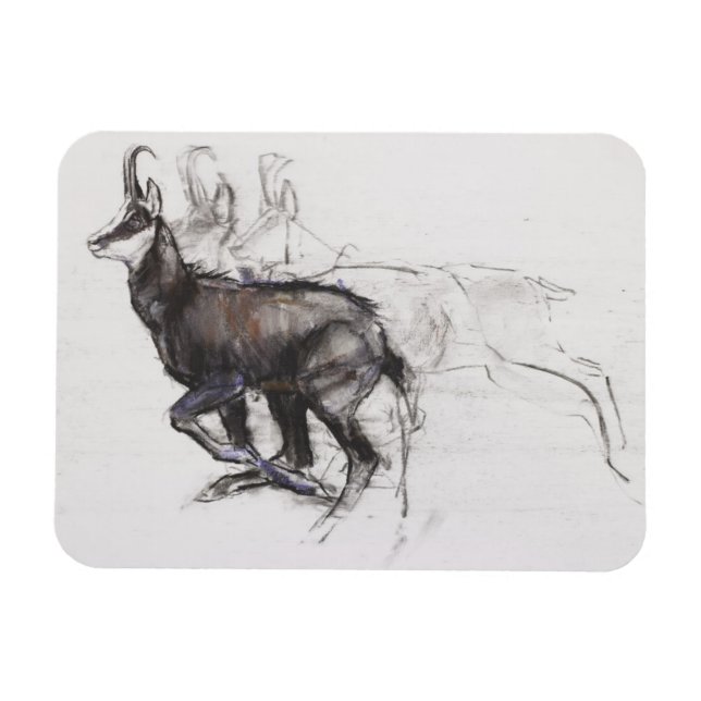 Running Chamois Magnet (Horizontal)