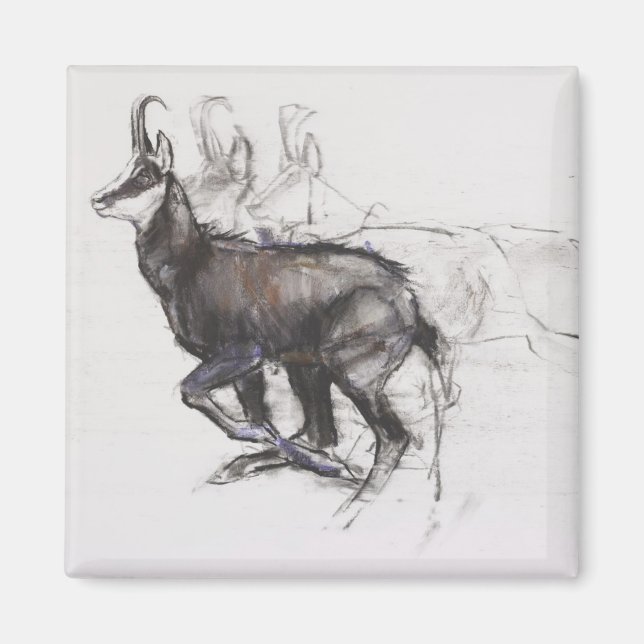 Running Chamois Magnet (Vorne)