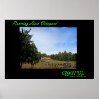 Running Hare Vineyard