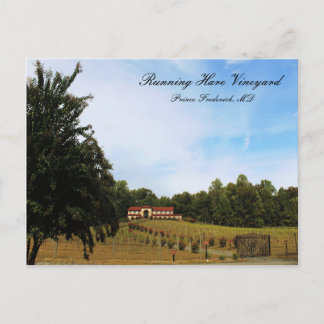 Running Hare Vineyard Postkarte