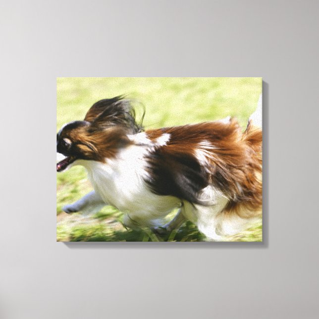 Running Papillon Leinwanddruck (Vorderseite)