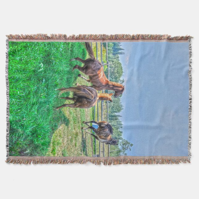 Running Pinto Paint Gelding & Kastanienbälle Decke (Vorderseite)
