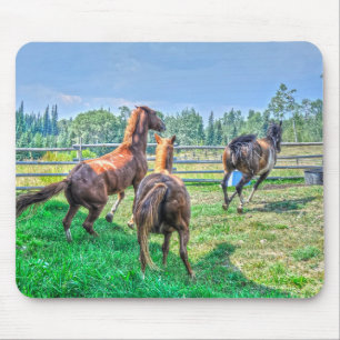 Running Pinto Paint Gelding & Kastanienbälle Mousepad