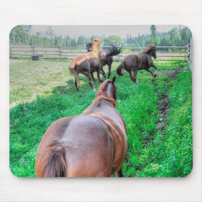Running Pinto Paint Gelding & Kastanienbälle Mousepad (Vorne)