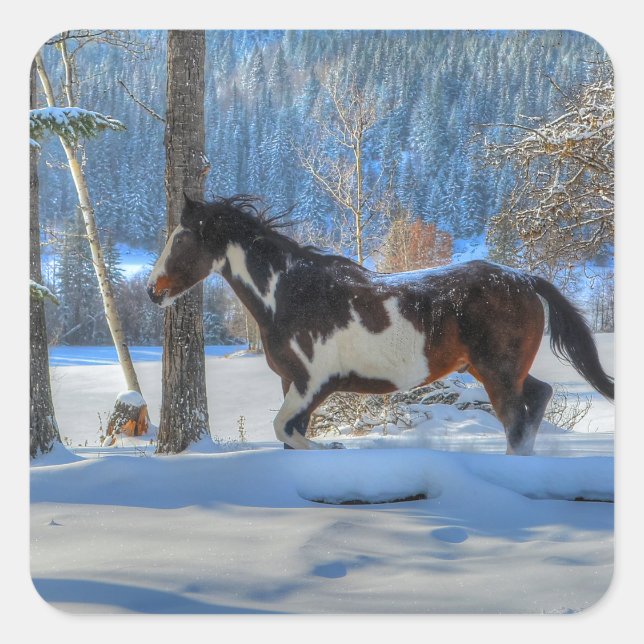 Running Pinto Paint Hallion im Winter Snows Foto Quadratischer Aufkleber (Vorderseite)