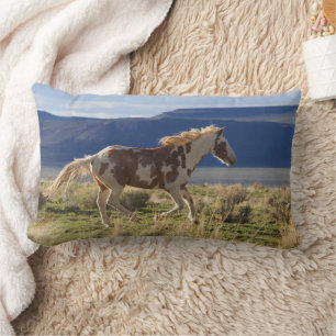 Running Stallion, Steens Mountains, Oregon Lendenkissen