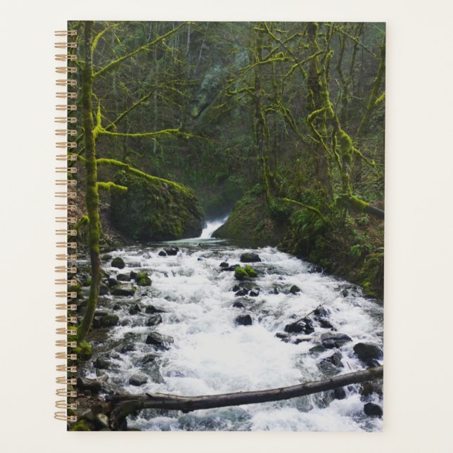 Runoff from Bridal Veil Falls (Devant)