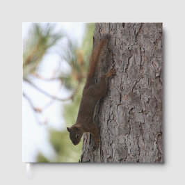 Runter-Eichhörnchen Gästebuch