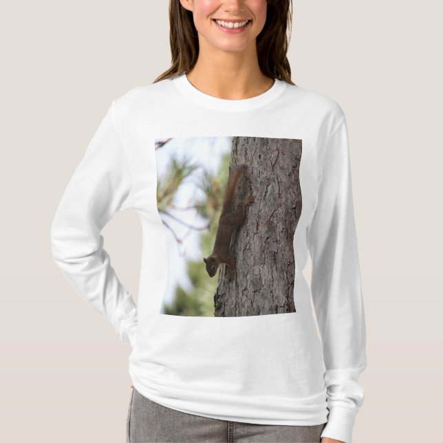 Runter-Eichhörnchen T-Shirt (Vorderseite)