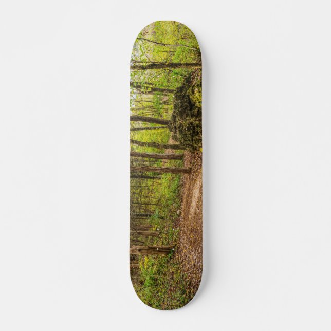 runter und rund skateboard (Vorne)