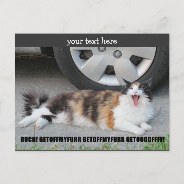 Runter von meinem Pelz, schreit Calico Postkarte (Vorderseite)