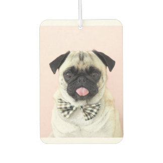 Rupert den Mops Car Air Freshener Autolufterfrischer