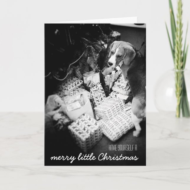 Rupert die Weihnachtskarte des Beagle Feiertagskarte (Vorderseite)