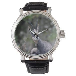 Rupicapra rupicapra armbanduhr