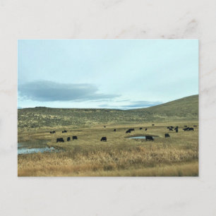 Rural Baker Landkreis, Oregon Canvas Print Postkarte