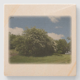 Rural Sweden June Steinuntersetzer