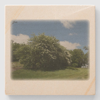 Rural Sweden June Steinuntersetzer