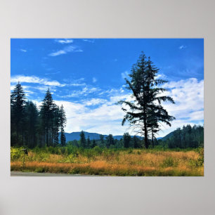 Rural Washington, Randle, Poster