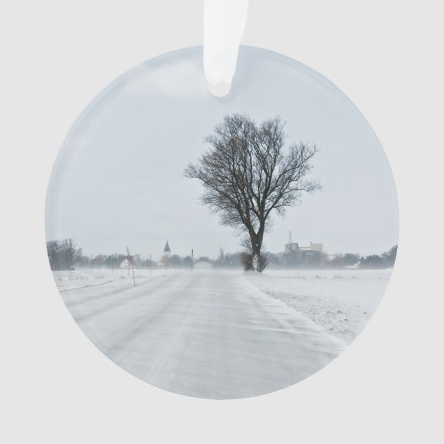 Rural winter road (devant)