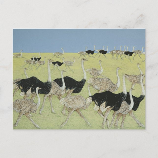 Rushstunde 2 postkarte (Vorderseite)