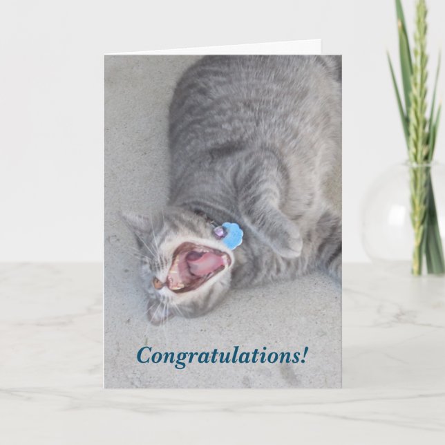 Russ, den die Katzen-Glückwünsche kardieren Karte (Vorderseite)