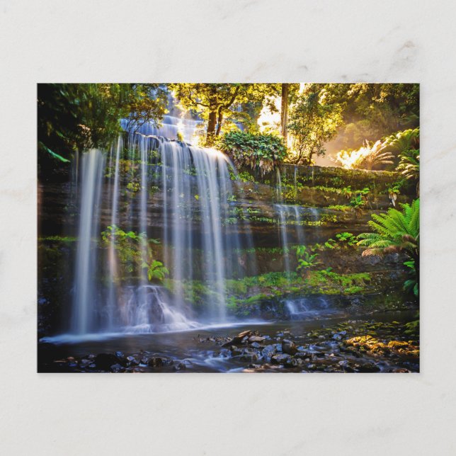Russell Falls Australia Postcard Postkarte (Vorderseite)