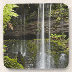 Russell Falls, Mount Field National Park, Getränkeuntersetzer