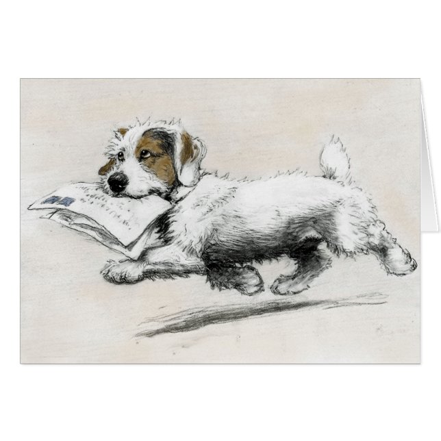 Russell Terrier livre du courrier (Devant horizontal)
