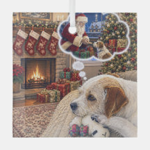 Russell Terrier Urlaub