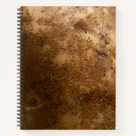 Russet Potato Close Up Photograph Spiral Notebook Notizbuch