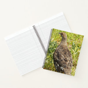 Rußhuhn-Wildtier-Foto Notizbuch
